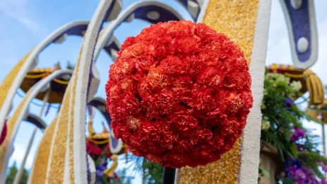 A large ball of red flowers on a float for the Pasadena Rose Parade, with blue sky in the background.