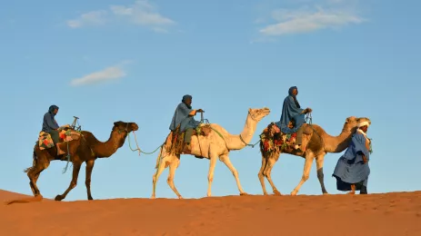 Camel caravan in Morocco