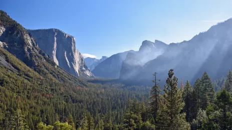 The famous peak called El Capitan and the pine Yosemite foret against a blue sky