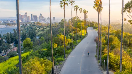 Drone shot of a woman walking down a streetwith tall palm trees, LA