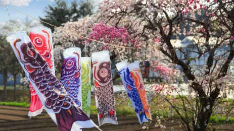 Golden Week Carp Streamers, Japan