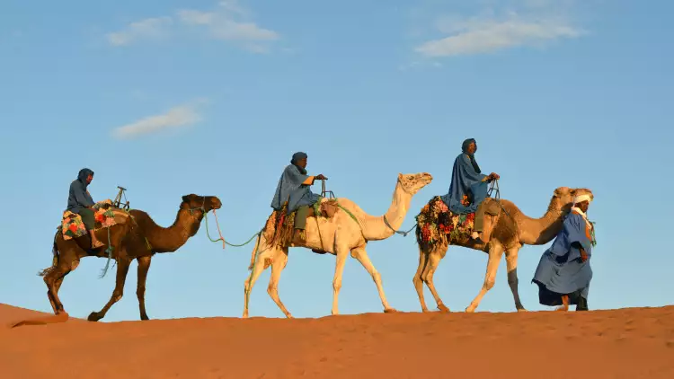 Camel caravan in Morocco