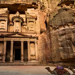 Image in front of Petra ancient city in Jordan with two camels sitting down