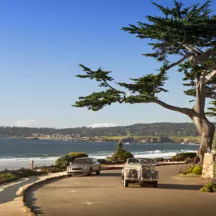 Carmel By The Sea coastal path with trees, ocean and blue skies, California, USA