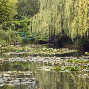 Lily pond at Monet's Garden in Giverny, France