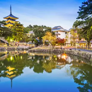 Sarusawa Pond surrounded by trees and walking pathways, steeples of temples can be seen above the tree line