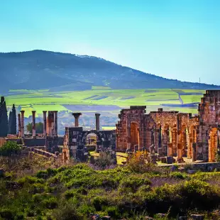 The Basilica of Volubilis in Morocco 