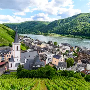 Church, houses and vineyards with the Rhein river in Assmanshausen, Germany