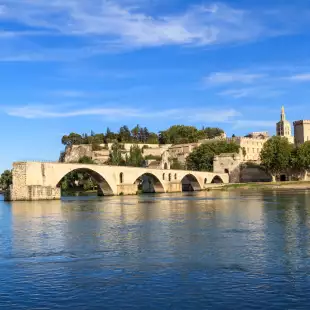 Avignon Bridge with Popes Palace in the background