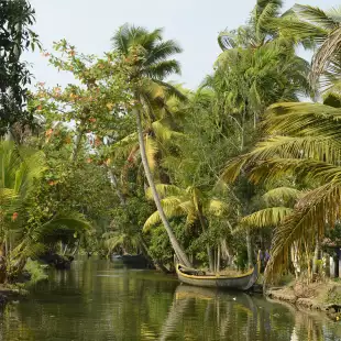 Palm tree lined canal in Kerala state with a small, wooden fishing boat