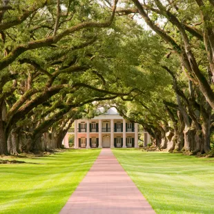 The Oak Alley Plantation in Vacherie, Louisiana