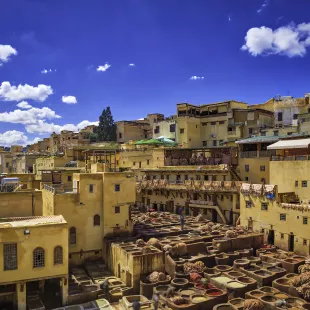 Traditional leather tannery in the medina in Fez, Morocco