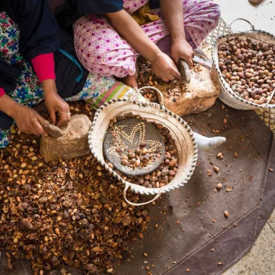 Women working on argan kernels, Marrakesh