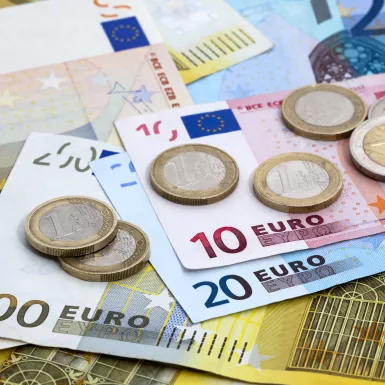 Euro currency notes and coins