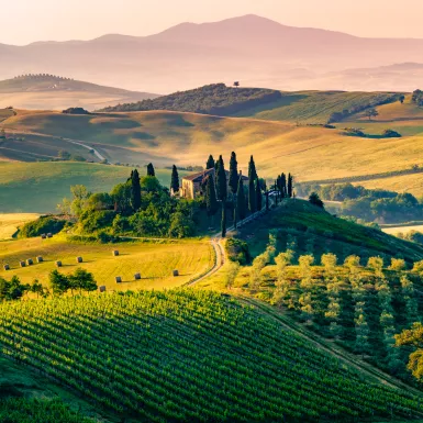  A lonely farmhouse with rolling hills, cypress and olive trees in Tuscany, Italy.