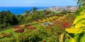 Tropical Botanical Gardens in Funchal town, Madeira island