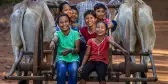 Group of happy Cambodian children riding ox cart in village near Siem Reap, Cambodia