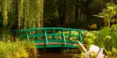 Japanese themed bridge and lily flowers at Claude Monet's Water Garden in Giverny, France