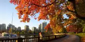 An early morning jogger on the Stanley Park Seawall in autumn. Vancouver, British Columbia, Canada.