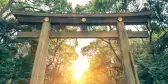 Meiji Shrine at sunset in yoyogi park, Harajuku tokyo