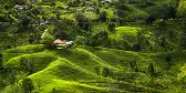 A house on a green hill in Sri Lanka, amongst tea fields