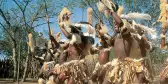 A group of Zulu dancers in motion as they perform in South Africa