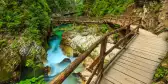 Wooden footpath bridge and green river at the Vintgar Canyon in Slovenia