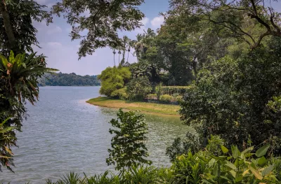 Tropical rain forest and a water reservoir in a nature preserve, Singapore