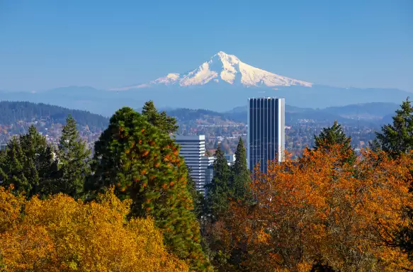 Orange and yellow trees obsucring the high rises of Portland with the snow capped peak of mt hood in the distance against a blue sky