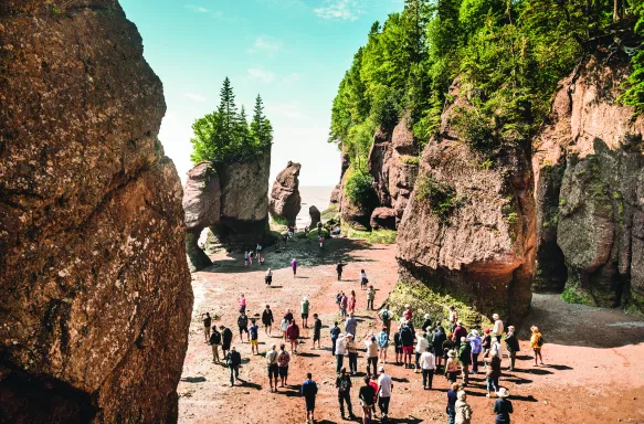 Hopewell rocks with vegetation growing on top with admiring crowds of tourists at their base