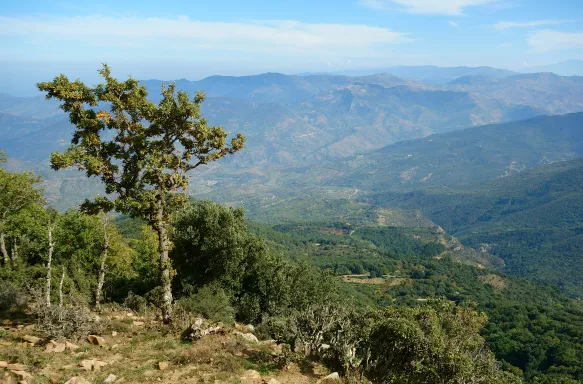 Madonie National Park with view of mountains in Sicily, Italy