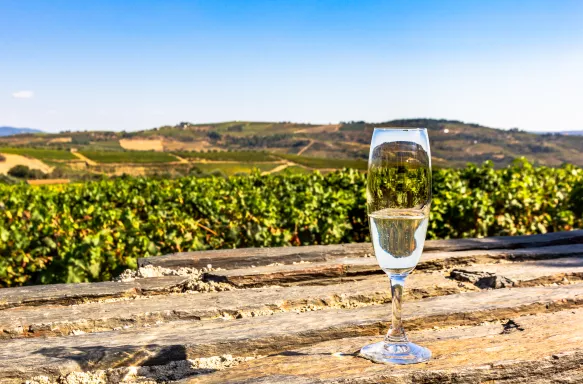 Glass of sparkling white wine at the Douro valley vineyard in Portugal