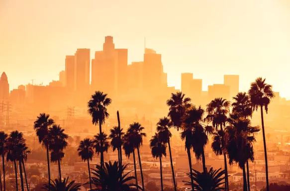 Palm tree silhouettes against the Los Angeles cityscape during golden hour