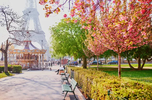 Scenic view of the Eiffel tower with cherry blossom trees on a Spring day in Paris, France.