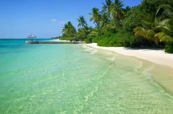 Tropical beach with clear waters at the Canareef Resort, Maldives, Herathera island.