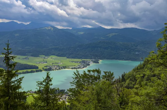  Aerial view of Lake Wolfgang amongst lush forestry, Austria.