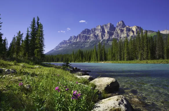 Banff National Park, featuring Castle Mountain and Bow River in Canada 