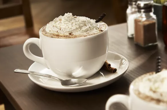 A hot, soothing drink with whipped cream, cinnamon and a chocolate.