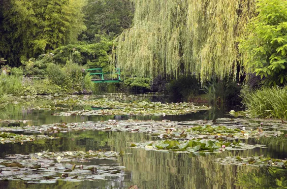 Lily pond at Monet's Garden in Giverny, France