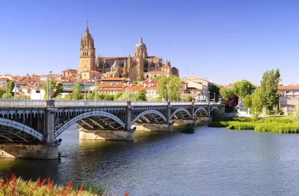 View of bridge across river in Spain with Salamanca cathedral in the background