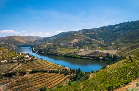 Douro Valley with its river in the middle of the vineyards in Portugal