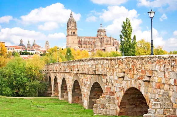 Salamanca City with New Cathedral and Roman bridge on a bright day in Spain