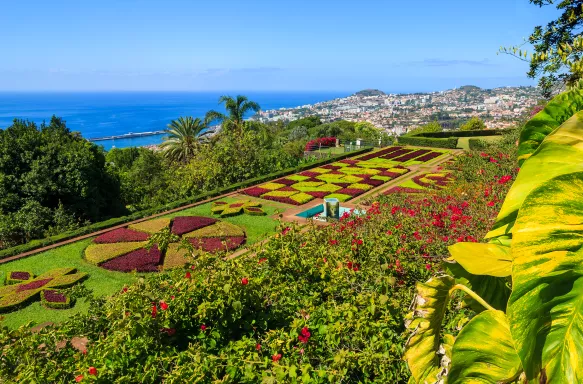 Tropical Botanical Gardens in Funchal town, Madeira island