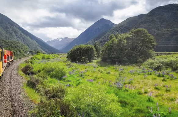 Tranzalpine Railway and train on South Island New Zealand