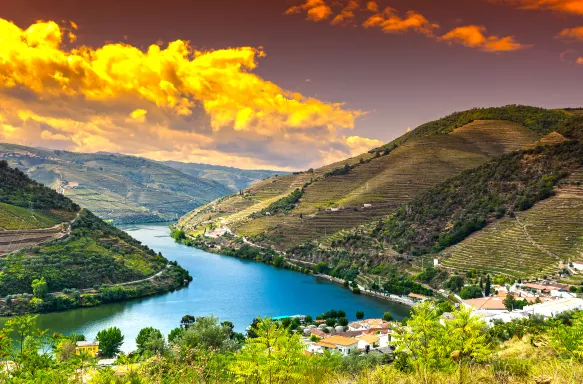 River Douro region at sunrise