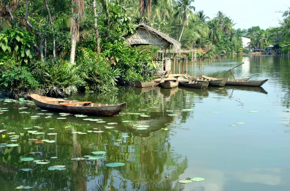 Small wooden boats on the Lotus Lake with lily pads in Mekong