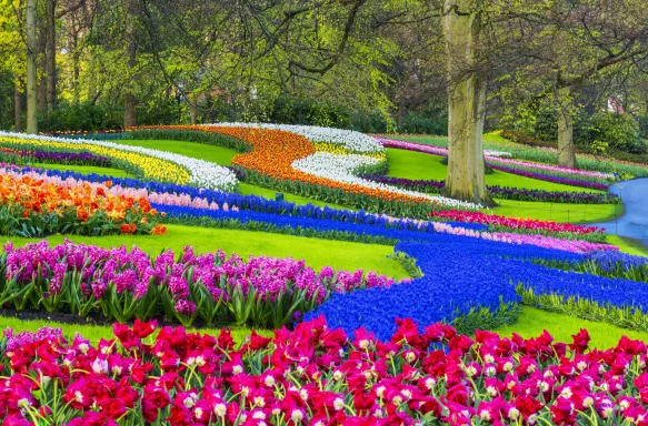 Colorful spring flowers in a park. Location is Keukenhof Gardens, near Lisse, Netherlands