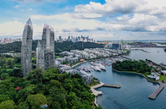 View of Singapore from above, including marina, greenery and skyscrapers