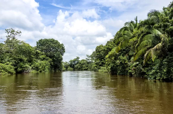 View of the Frio River in the Caño Negro Wildlife Refuge in Costa Rica jungle