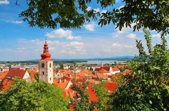 A picturesque view of Ptuj town in Slovenia